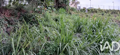 Building plot in SAINT-JOSEPH (97480)
