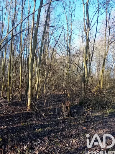 Terrain loisirs à Châlette-sur-Loing (45120)
