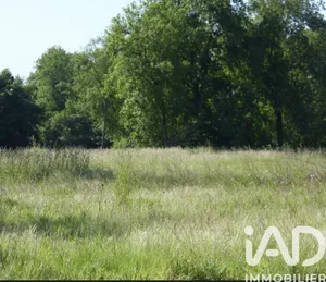 Terrain à Villevaudé (77410)