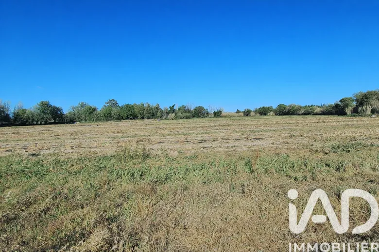 Terrain agricole à Pézilla-la-Rivière (66370) · 135 000 €
