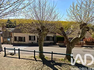 House in Nevoy (45500)