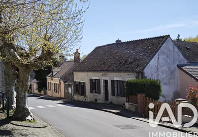 House in Nevoy (45500)