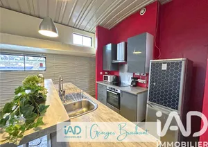 Barge in L'Île-Saint-Denis (93450)