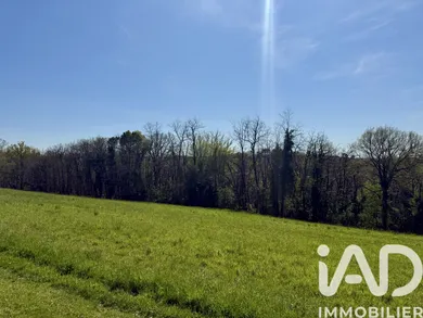 Terrain à bâtir à Saint-André-d'Allas (24200)