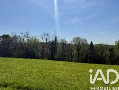 Terrain à bâtir à Saint-André-d'Allas (24200)