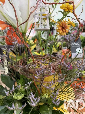 Miscellaneous Shops in Salon-de-Provence (13300)