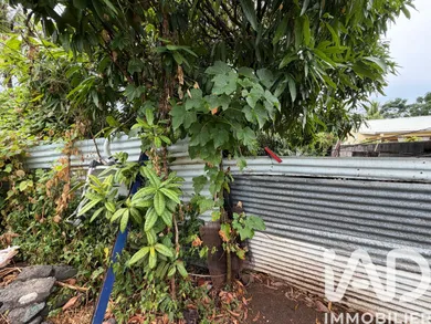 Terrain à Saint-Pierre (97410)