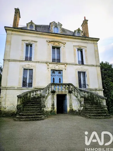 Mansion in Saint-Jean-de-Braye (45800)