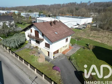 Maison à Seppois-le-Bas (68580)