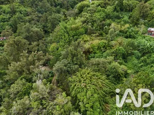 Terrain à bâtir à Saint-Denis (97400)