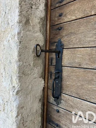 Manoir à Tavers (45190)