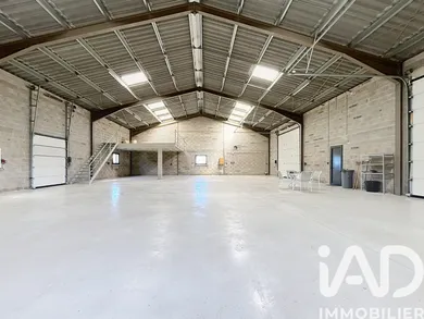 Terrain agricole  à Caves (11510)