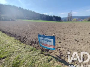 Terrain à bâtir à Saint-Jean-Soleymieux (42560)