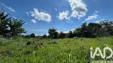 Terrain à bâtir à Petite-Île (97429)