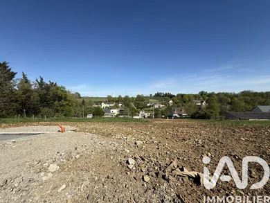 Terrain à Beaumont-Louestault (37360)