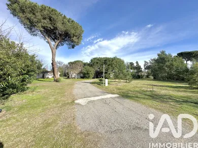 Apartment in Castellare-di-Casinca (20213)