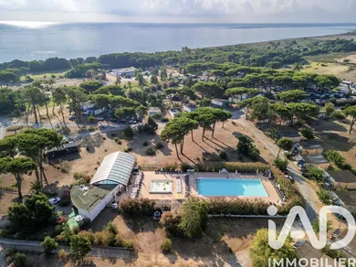 Apartment in Castellare-di-Casinca (20213)