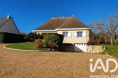 Traditional house in Chinon (37500)