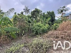 Terrain à bâtir à Le Tampon (97430)