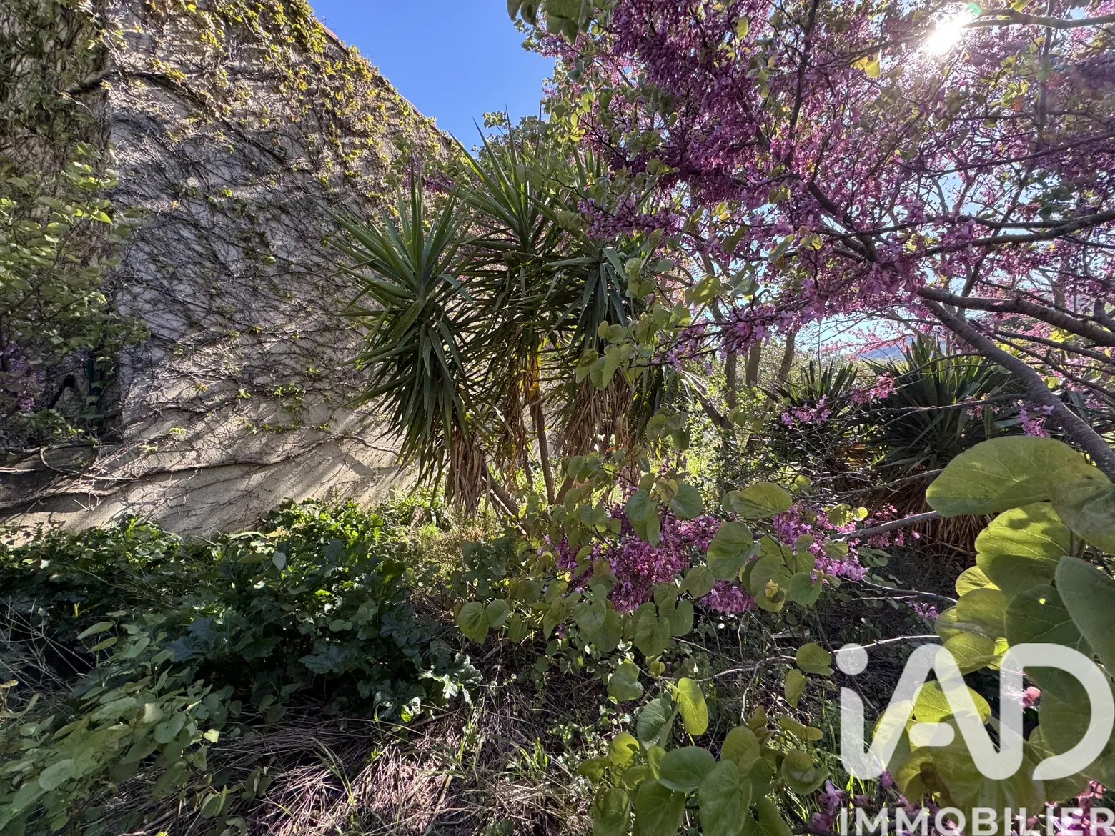 Vente maison à Tuchan (11350) : maison de village 5 pièces 107 m² — 3