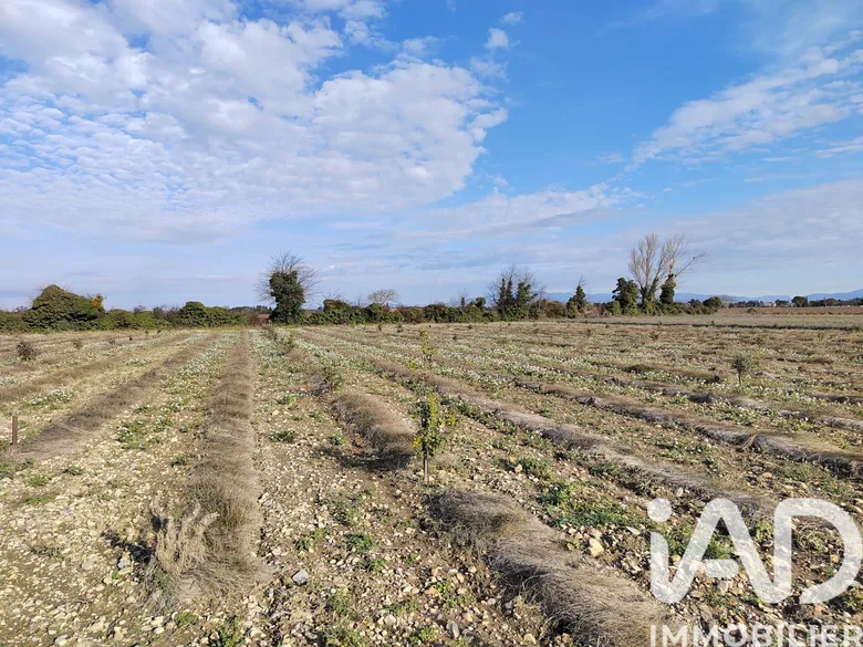 Terrain à sainte cecile les vignes (84290) · 25 000 €