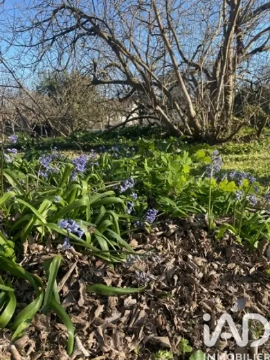 Building plot in Libourne (33500)
