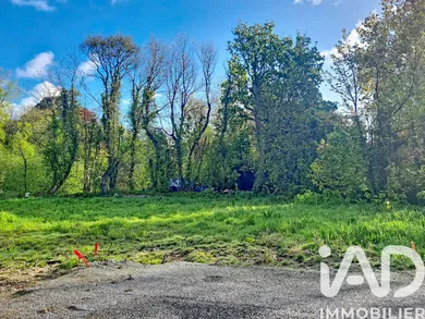 Land in Lanildut (29840)