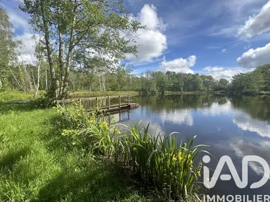 Domaine à La Ferté-Saint-Cyr (41220)
