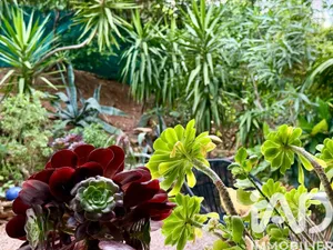 Appartement à Toulon (83000)