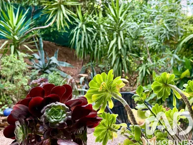 Appartement à Toulon (83000)