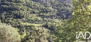 Terrain agricole  à Peille (06440)