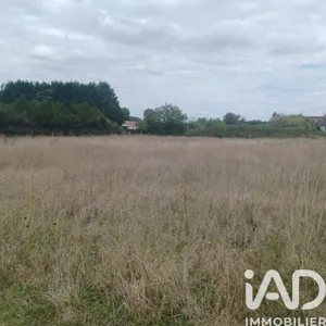 Land in BELLUIRE (17800)