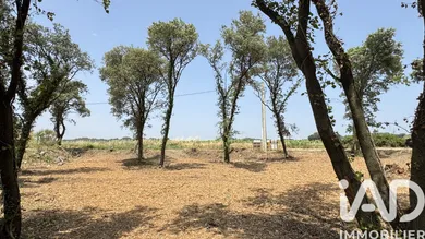 Terrain à Bédarrides (84370)