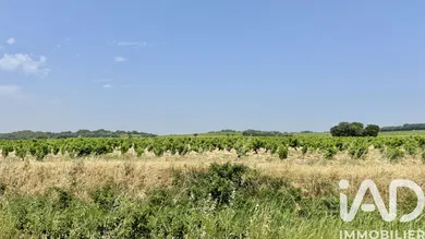 Terrain à Bédarrides (84370)