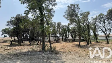 Terrain à Bédarrides (84370)