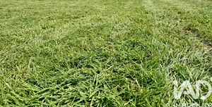 Terrain à bâtir à Saint-Rémy (79410)