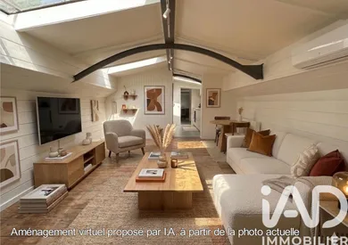 Barge in Conflans-Sainte-Honorine (78700)