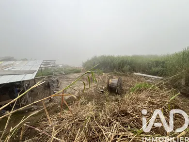 Building plot in Les Avirons (97425)