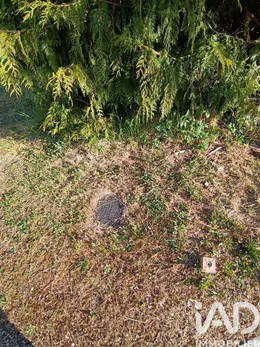 Terrain à bâtir à Chichery (89400)