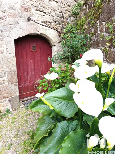 House in Bécherel (35190)