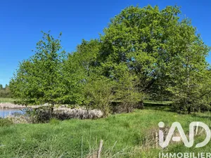 Building plot in Saint-Christophe-en-Bazelle (36210)