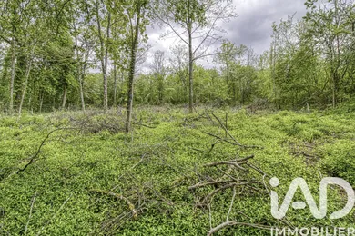 Building plot in Estouy (45300)