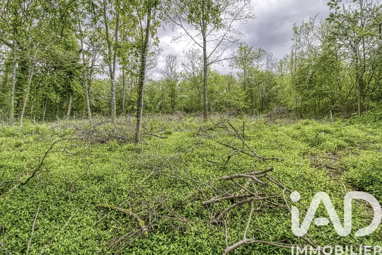 Terrain 2024 m² · à Estouy · 65 000 €