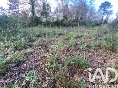 Land in Linxe (40260)