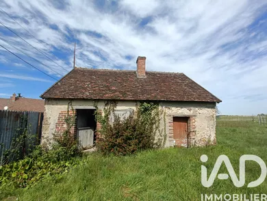 House in Monteaux (41150)