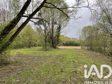 Leisure land in Lailly-en-Val (45740)
