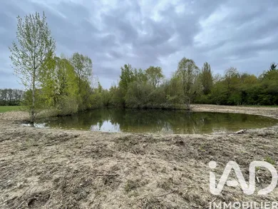 Leisure land in Lailly-en-Val (45740)