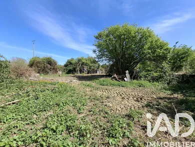 Building plot in Quettehou (50630)