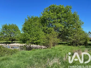 Building plot in Saint-Christophe-en-Bazelle (36210)