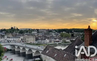 Maison de ville à Le Blanc (36300)